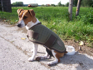 Gesteppter Hundemantel