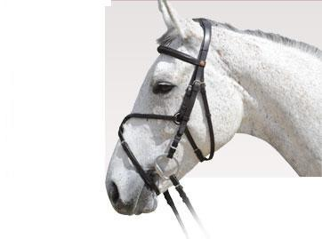 Albion KB Trensenzaum Mexikanisch