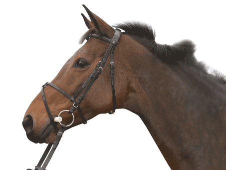 Döbert Classic Trense Mexikanisch