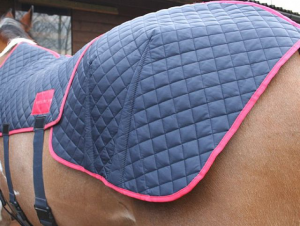 Magnetfelddecke für die Kruppe