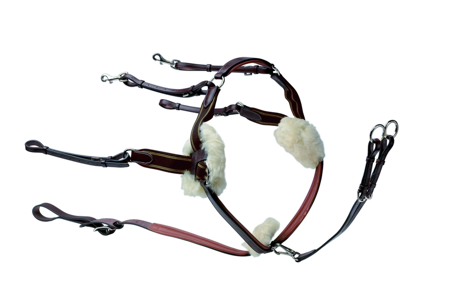 Prestige 5 Punkt Vorderzeug