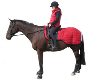 PolyPads® Exercise Duo© Large