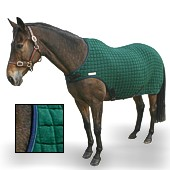 Thermates Führanlagen-Decke