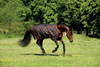 Horseware Amigo 600D Lite Weidedecke braun