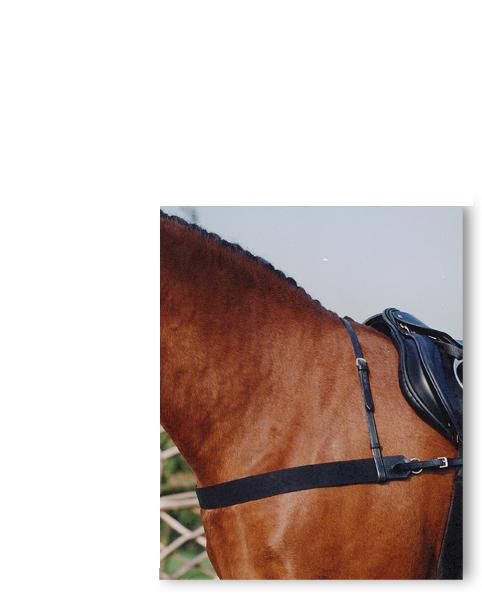 Brustblatt-Vorderzeug Elastik