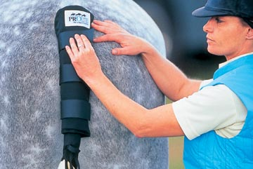 Prolite Schweifschoner