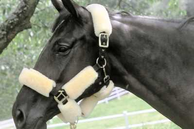 Christ Lammfell-Halfterset