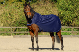 Bucas Führmaschienendecke