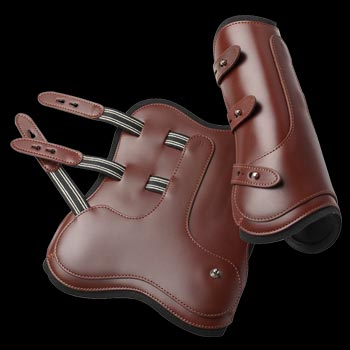 Prestige Pony Leder-Springgamaschen mit Neopren