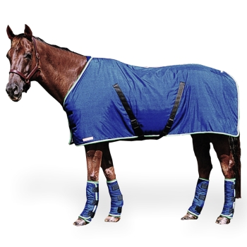 Thermatex Stalldecke