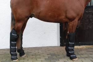 Bucas 2000 Transportgamaschen Set