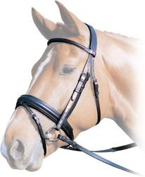 Albion KB Trense Englisch kombiniert