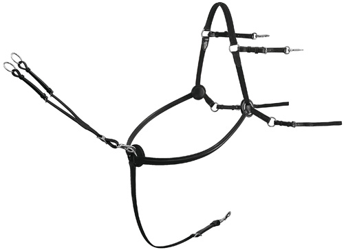 Passier Vorderzeug Corvus