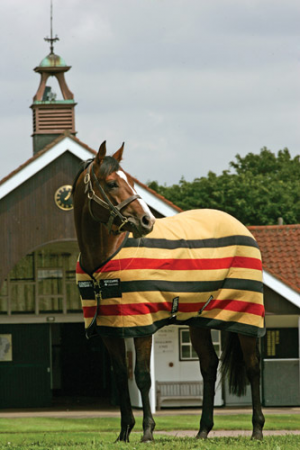 Horseware Rambo Newmarket Fleece Decke