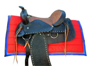 PolyPads® Western©