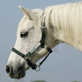 Sicherheits-Stallhalfter "Field Safe" 