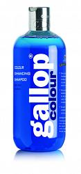 GALLOP Schampoo für Schimmel