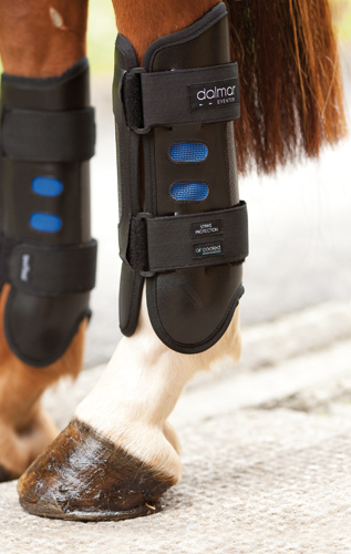 Dalmar Eventer Aircooled Geländegamaschen für hinten