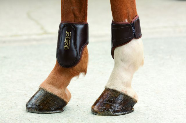 Dalmar Streichkappen